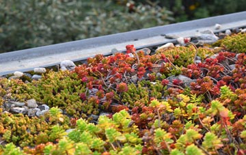 the cost of Radmore Green green roof installation