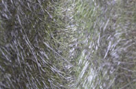 Radmore Green fibreglass roof work