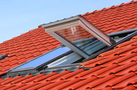 Radmore Green roof window